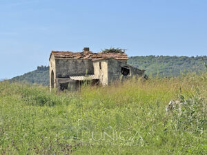 20250905_140630659_0.0