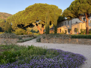 Carpineto_esterna alba