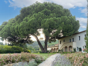 Carpineto_esterna day