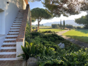 Carpineto_esterna scala 2