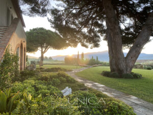 Carpineto_scala alba 1