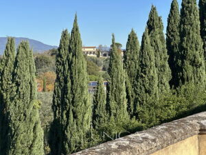 20251104_104130496_0.0