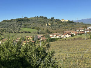 20251104_104213376_0.0