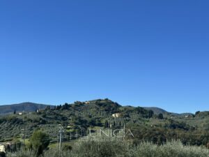 20251104_160311743_0.0