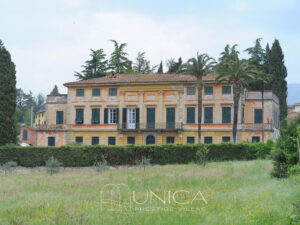 PHOTO-2025-11-08-19-57-55