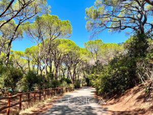 image00002-64d383eb1f9bf