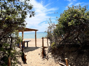 image00006-64d383ebca517