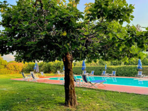 piscina3