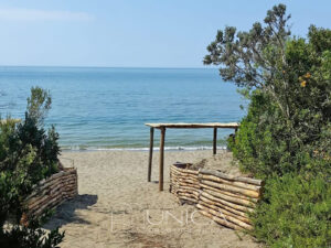 WhatsApp Image 2026-01-17 at 10.23.32