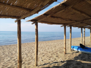 WhatsApp Image 2026-01-17 at 10.23.32(2)