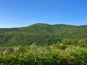 vista